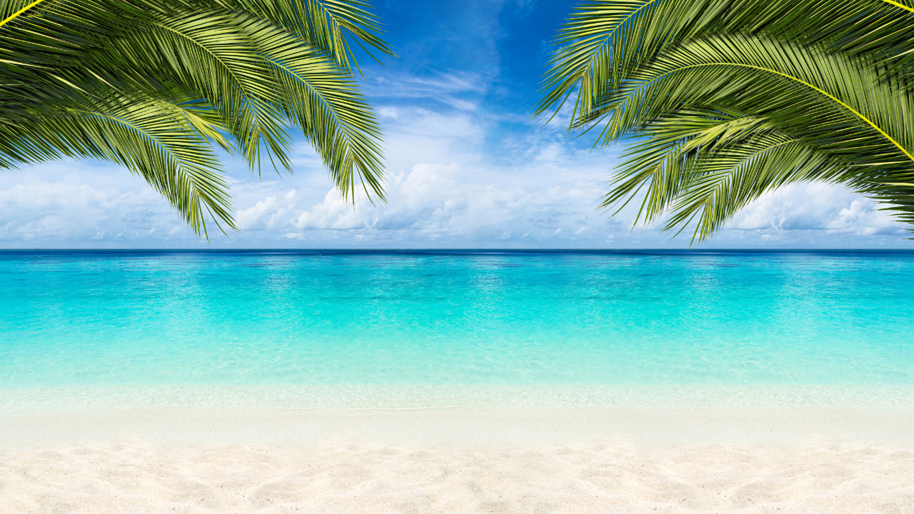 The Best Beach Zoom Background For When You re Dreaming Of A Tropical 