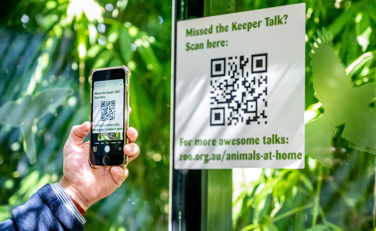 5 Reasons QR Codes Are Effective for Enterprises Supercode