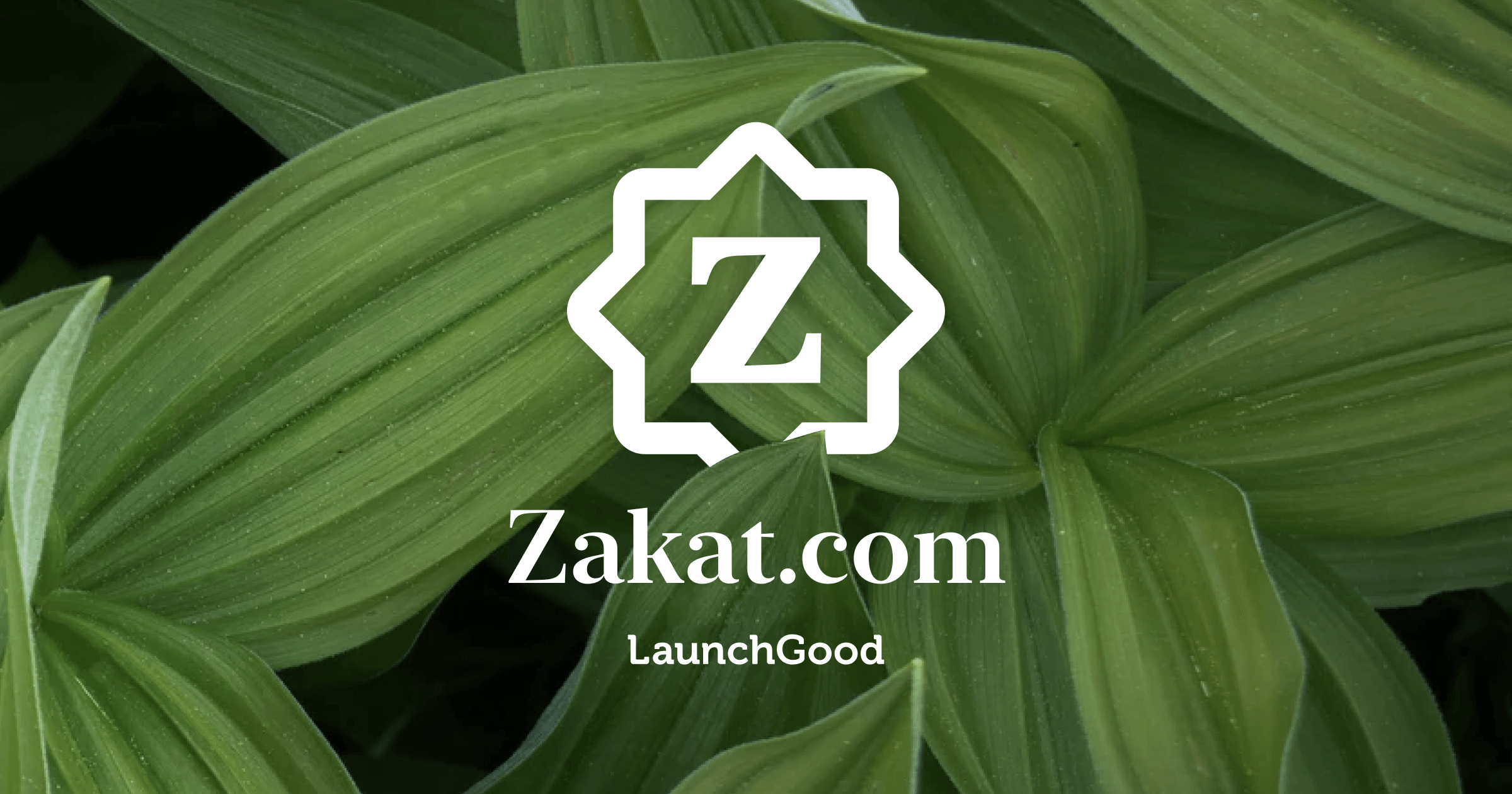 On a mission to revive Zakat globally