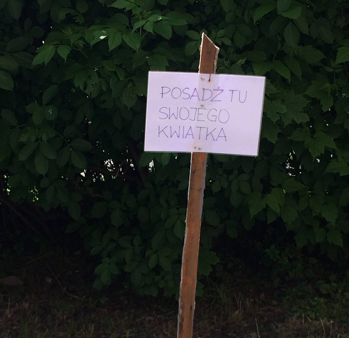 Tablica - posadź tu swojego kwiatka