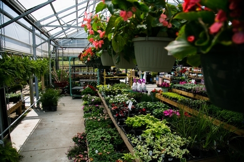 Garden Center