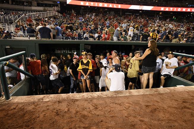 AP Photo/Nick Wass
