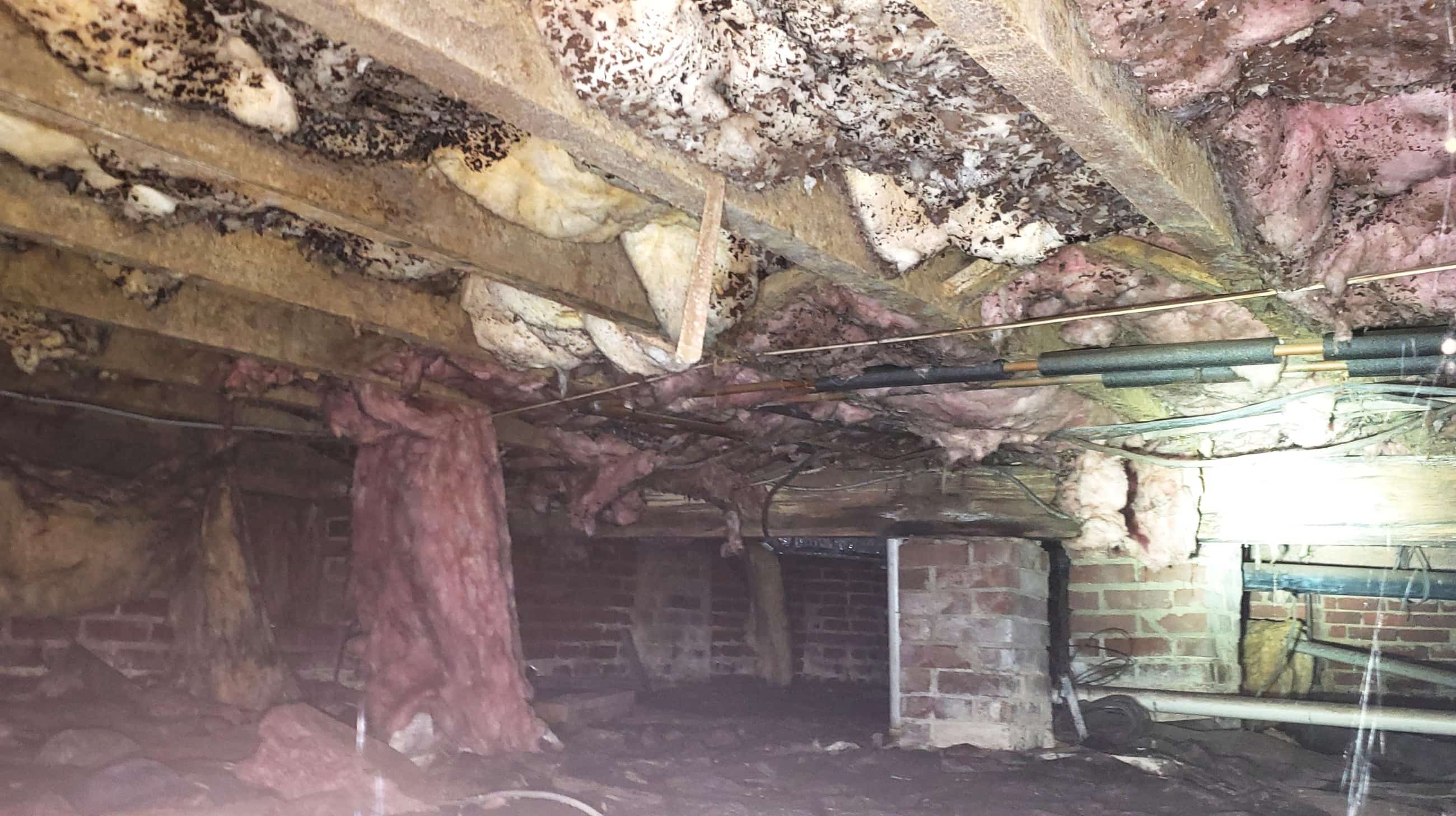 Tredegar Construction's Crawl Space Solutions