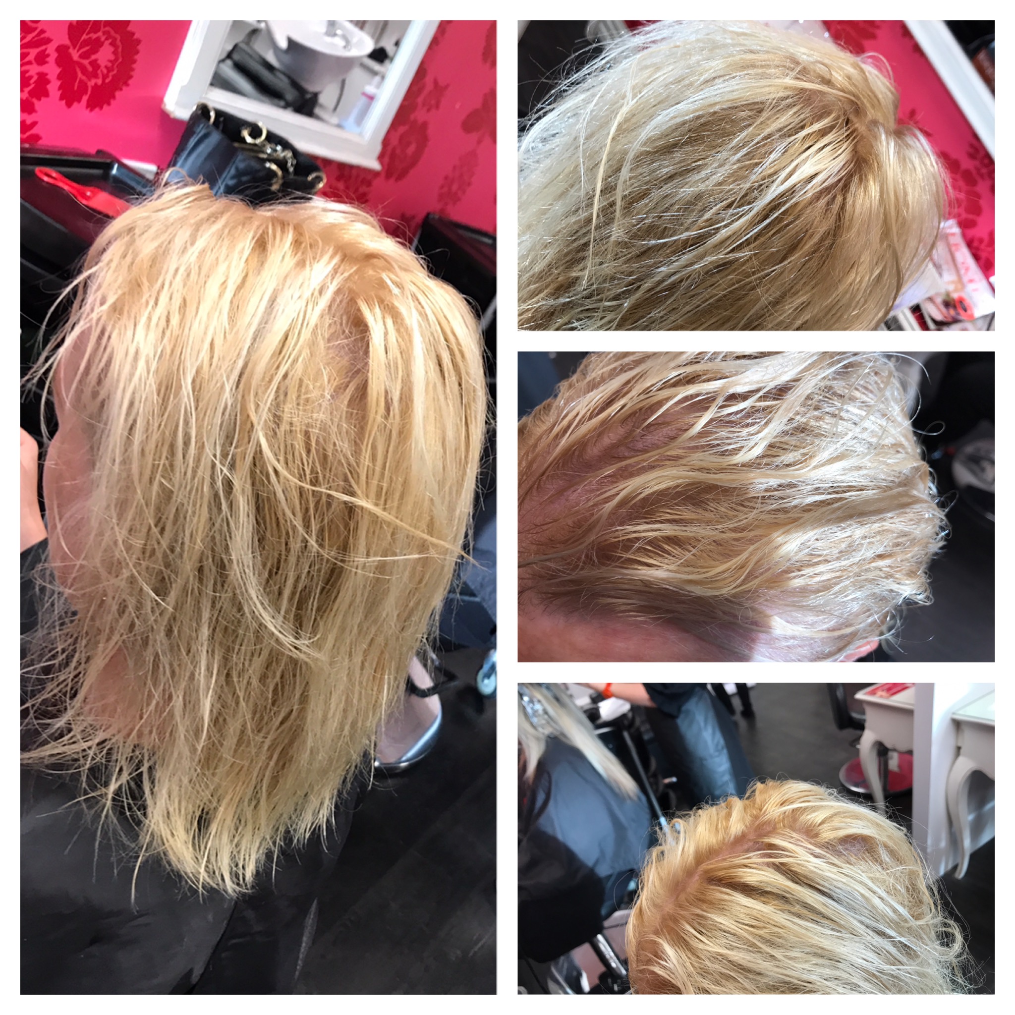 lightened hair, pretoner at v for hair and beauty merivale
