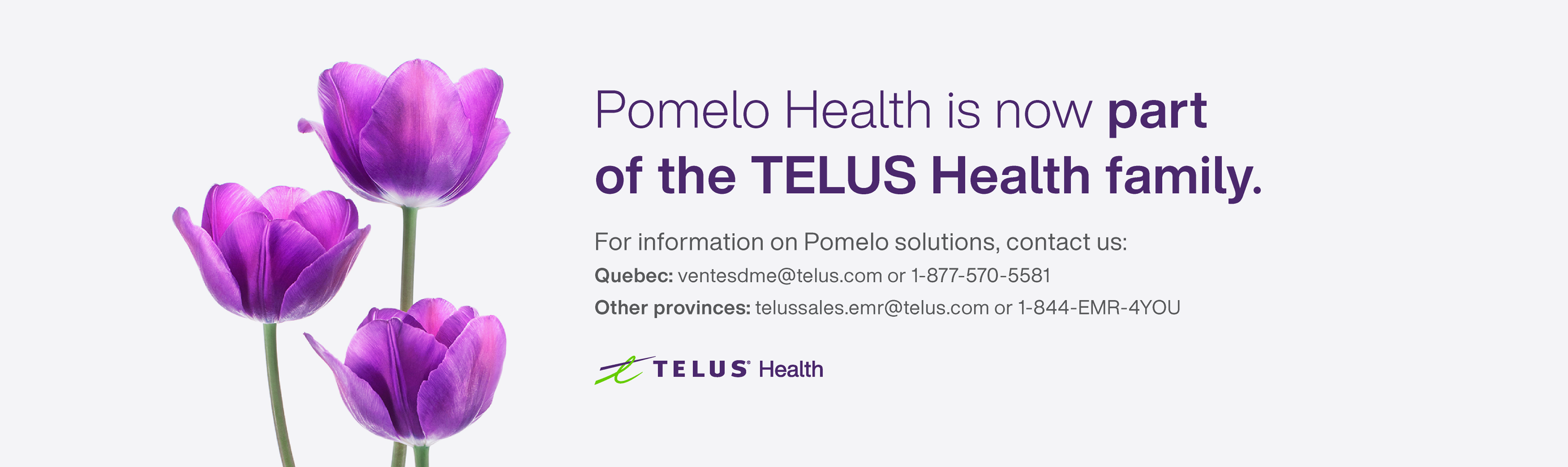 Pomelo Health Improve the Patient Experience