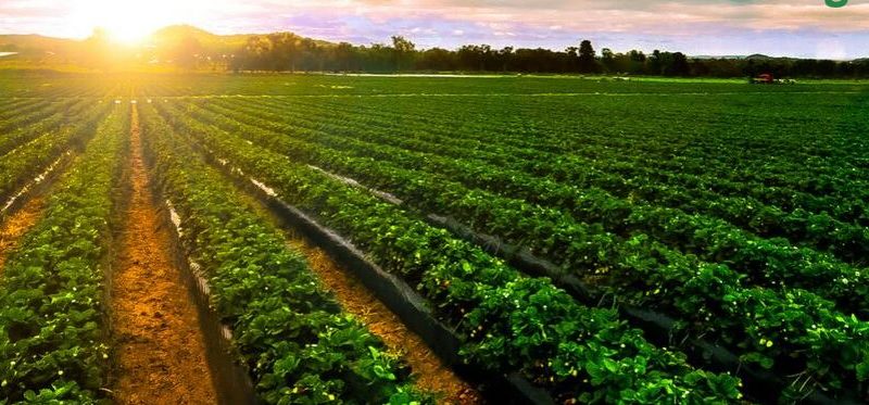 How Businesses Have Begun Taking Action Towards Achieving Net Zero Goals