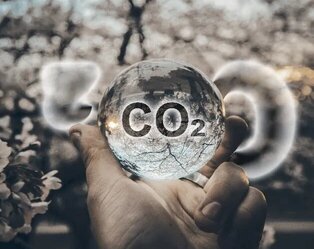 What Is a Carbon Offset and Why Do Companies Need It to Achieve Net Zero Carbon Emissions?