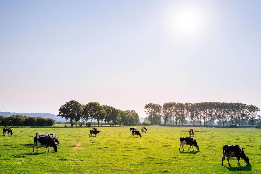 How to Become a More Sustainable Business in 5 Steps