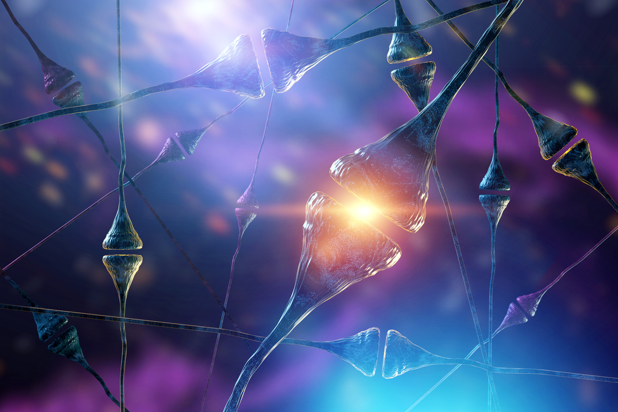 C'est dans les neurones postsynaptiques que sont produits les endocannabinoïdes
