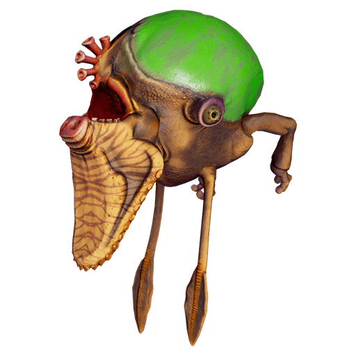 Weird looking creature with a pig nose and a suction tongue