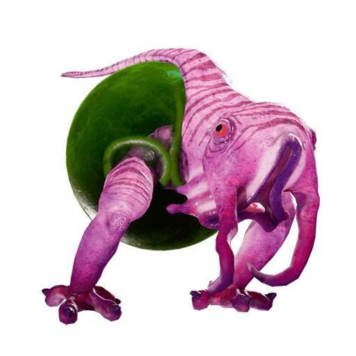 Frog-like creature with a pink skin and a circular green see-through body