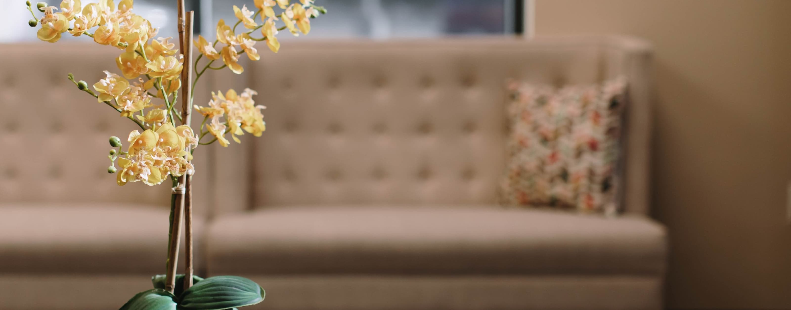 Dentist in Roseville, CA Ascot Family Dental