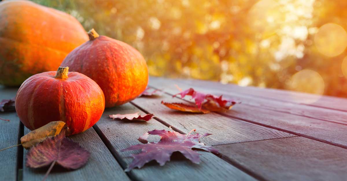 Fall 2022 Buyer's Guide News and Resources from Harty Realty Group