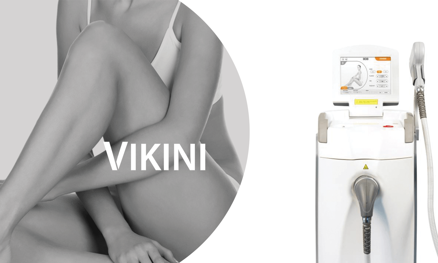 Vikini
