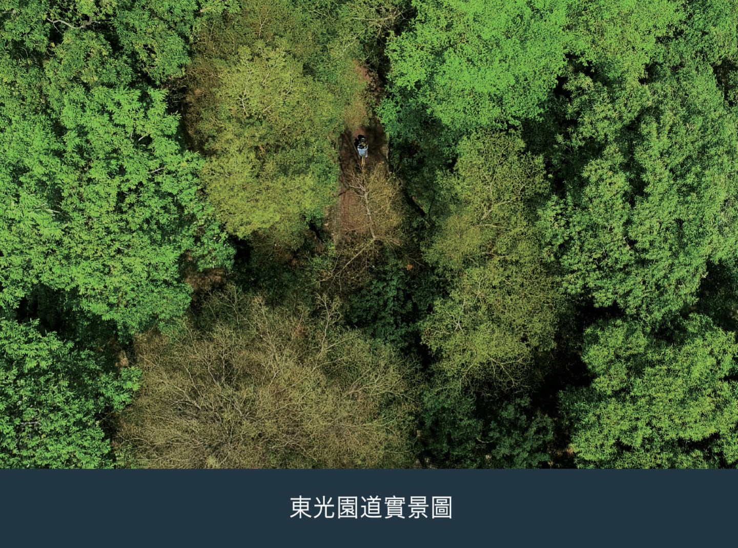 新業建設-東光園道實景圖