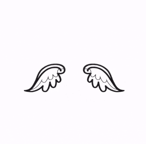 A pair of black and white angel wings flapping