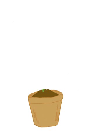 A seedling blossoming into a plant saying "ready set grow"