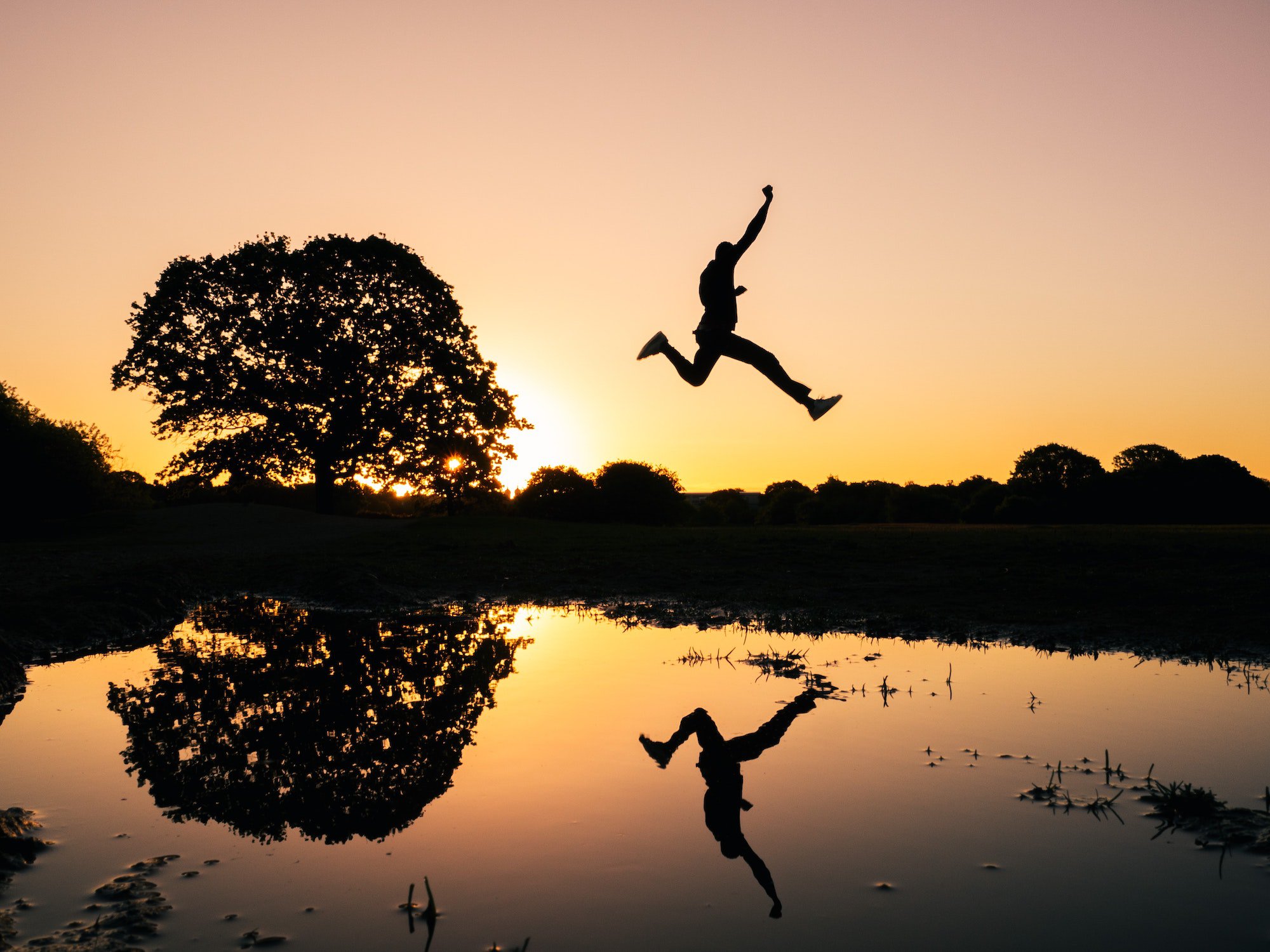 Person leaping during dawn over a lake by a tree consultant management platform