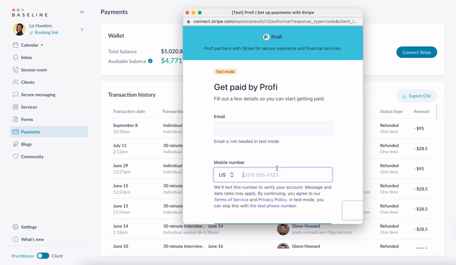 Profi Team Wallet Stripe setup | billing system software