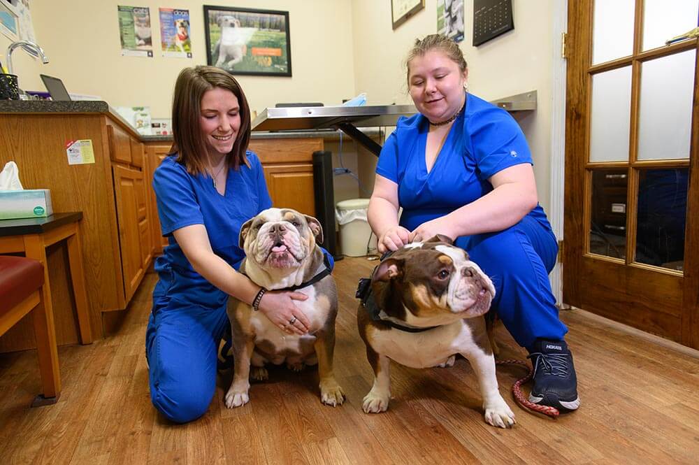 Staff members holding patient at clinic