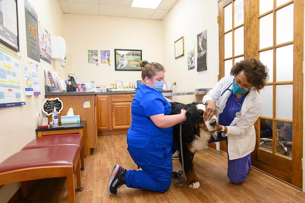 Dr Sherrod and staff member holding patient at clinic