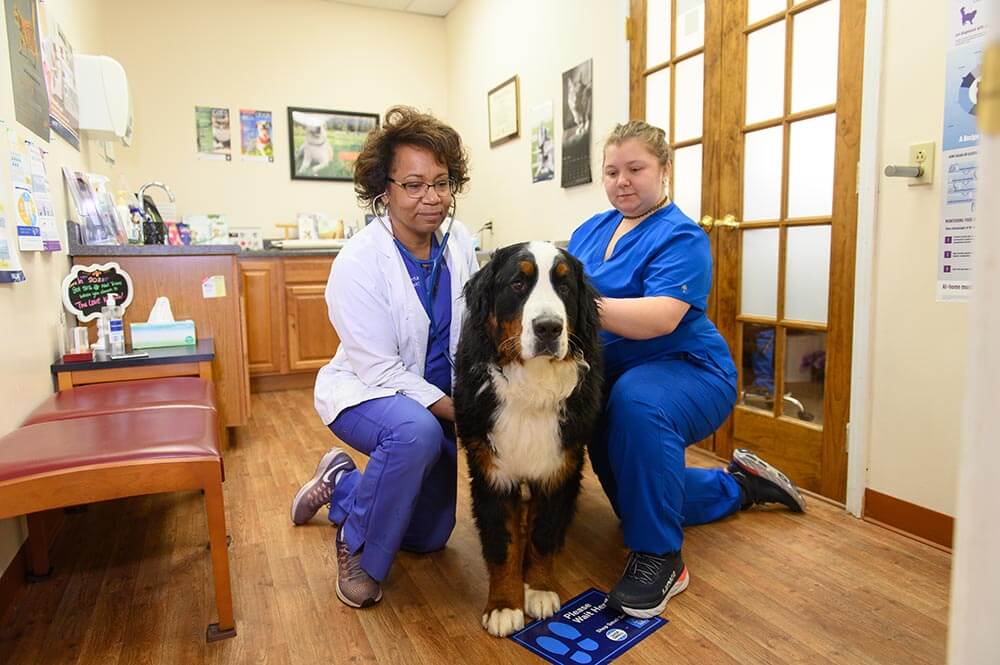 Dr Sherrod and staff member holding patient at clinic
