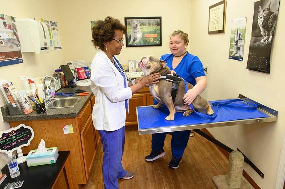 Dr Sherrod and Staff member holding patient
