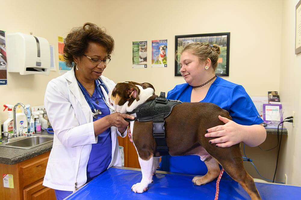 Dr Sherrod and staff member holding patient at clinic