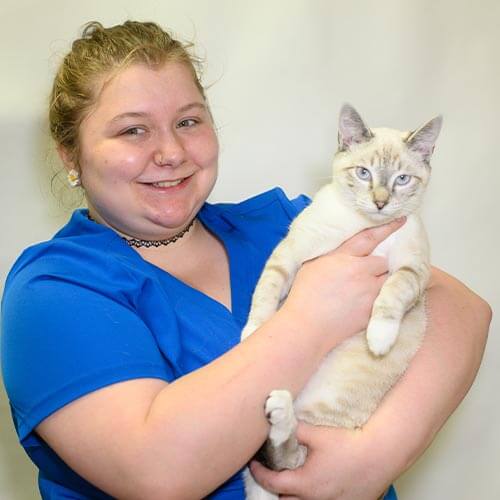 Staff member holding cat