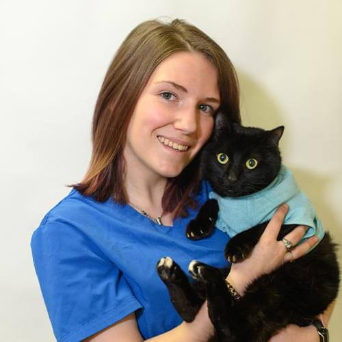 Staff member holding cat