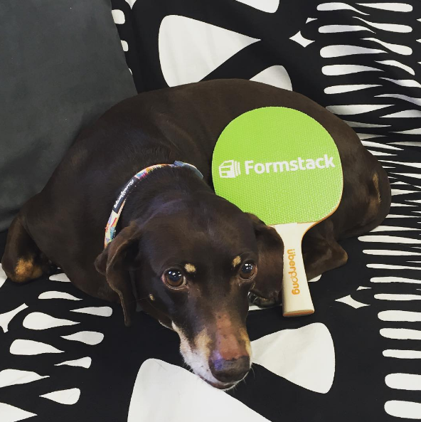 Formstack team building