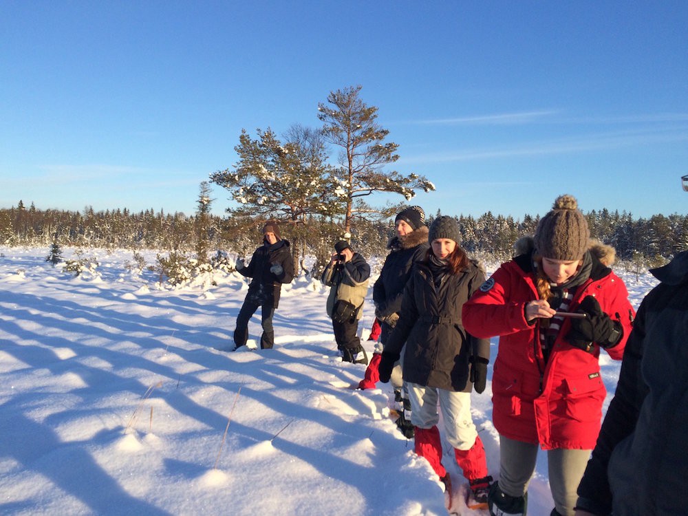 Toggl team building