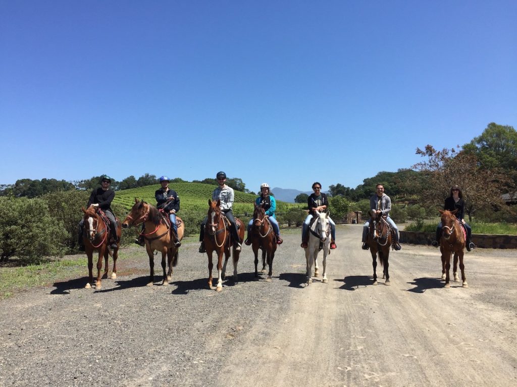 Balsamiq Team Retreat Horse Riding