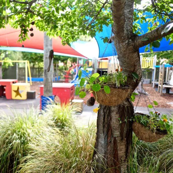 Te Whare Kōhungahunga o UC | Early Childhood Learning Centre (ECLC)