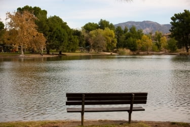 Yorba Regional Park View