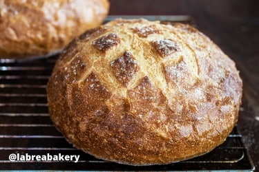 Sourdough from La Brea Bakery Cafe