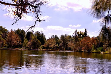 Lake at Yorba Regional Park, CA