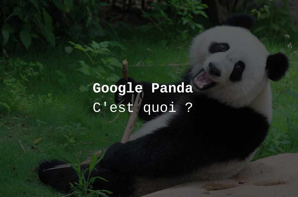 Google Panda : ce qu'il faut savoir