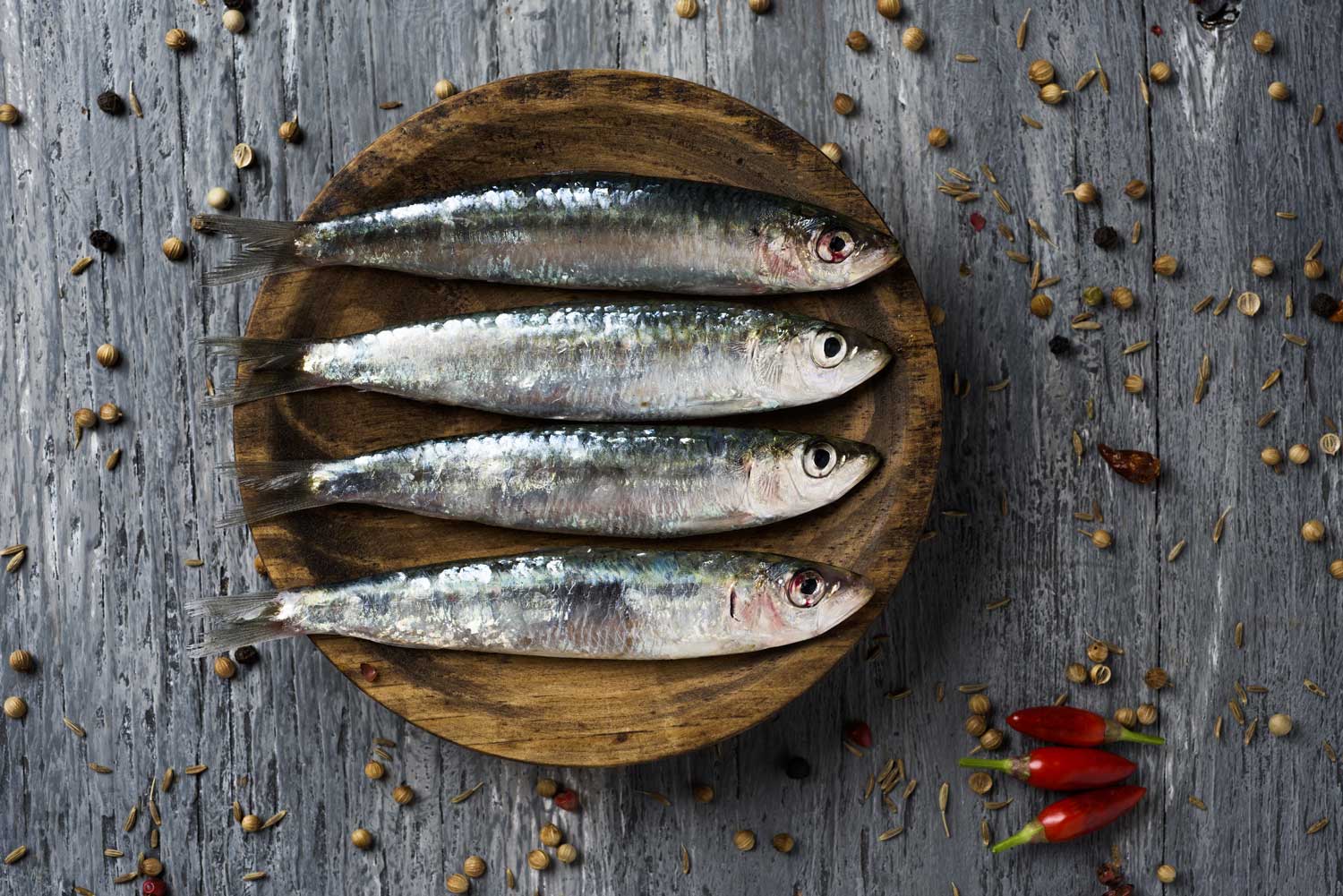 Sardines