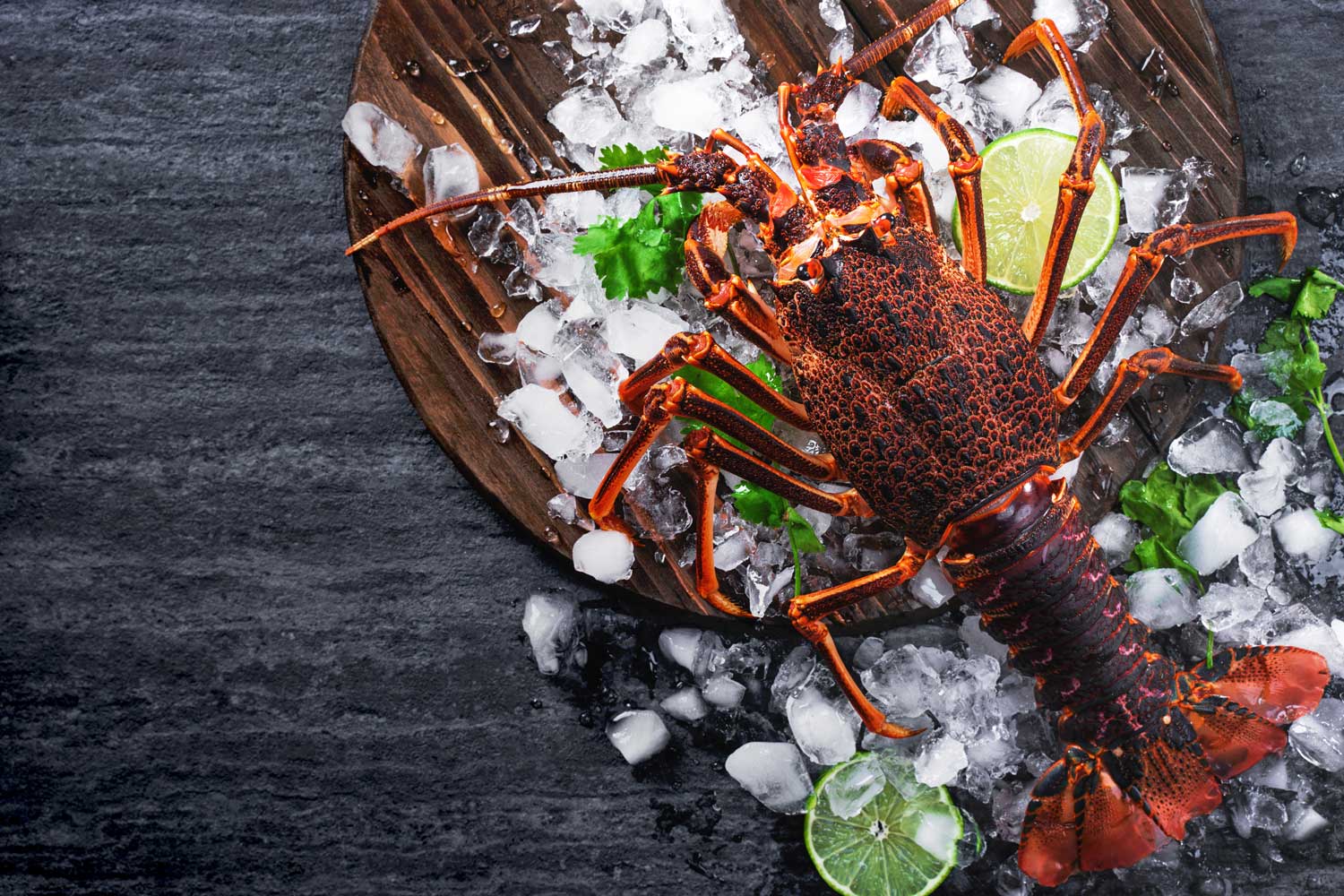 West Coast Rock Lobster