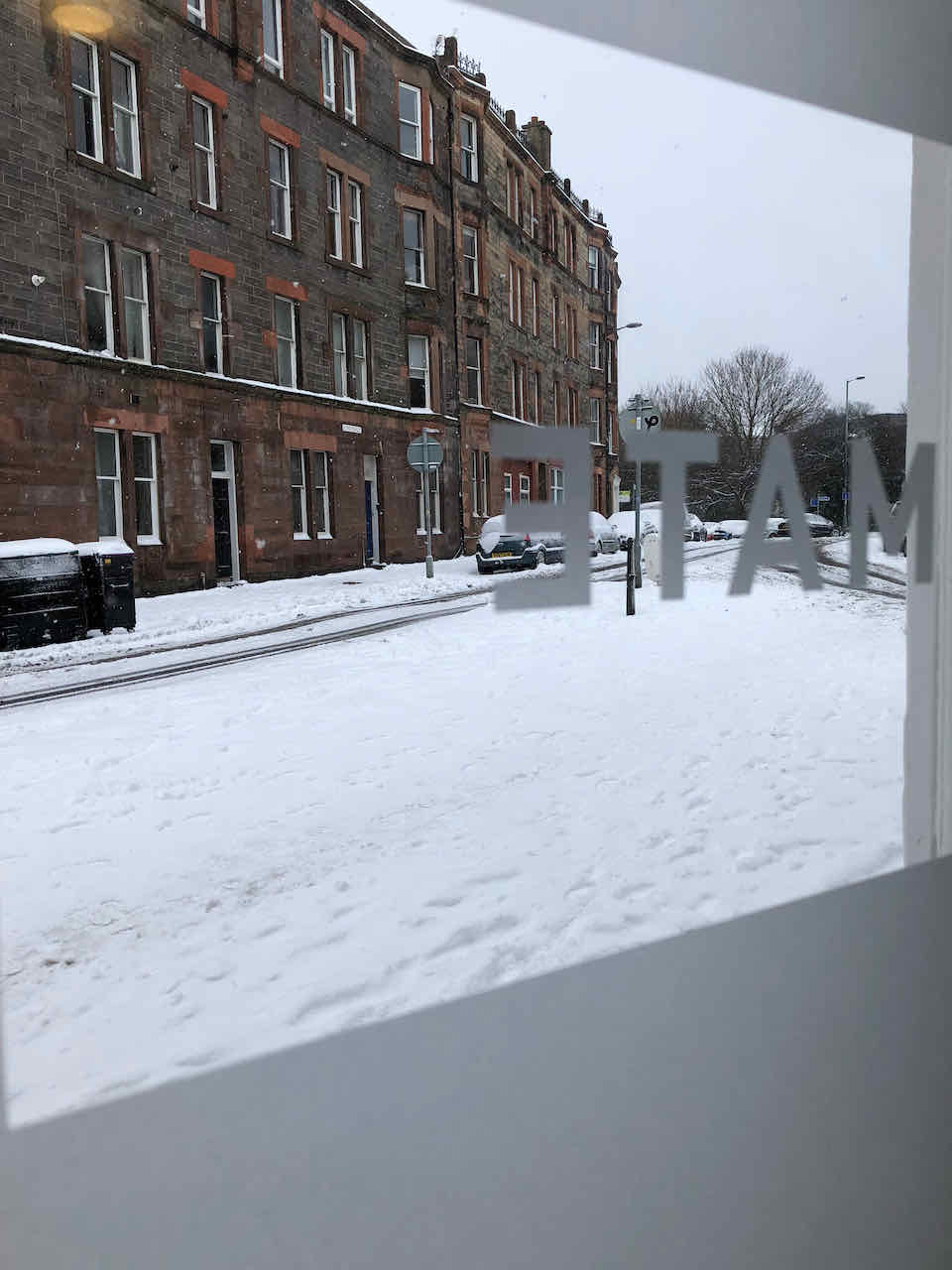 Snowy Primate office