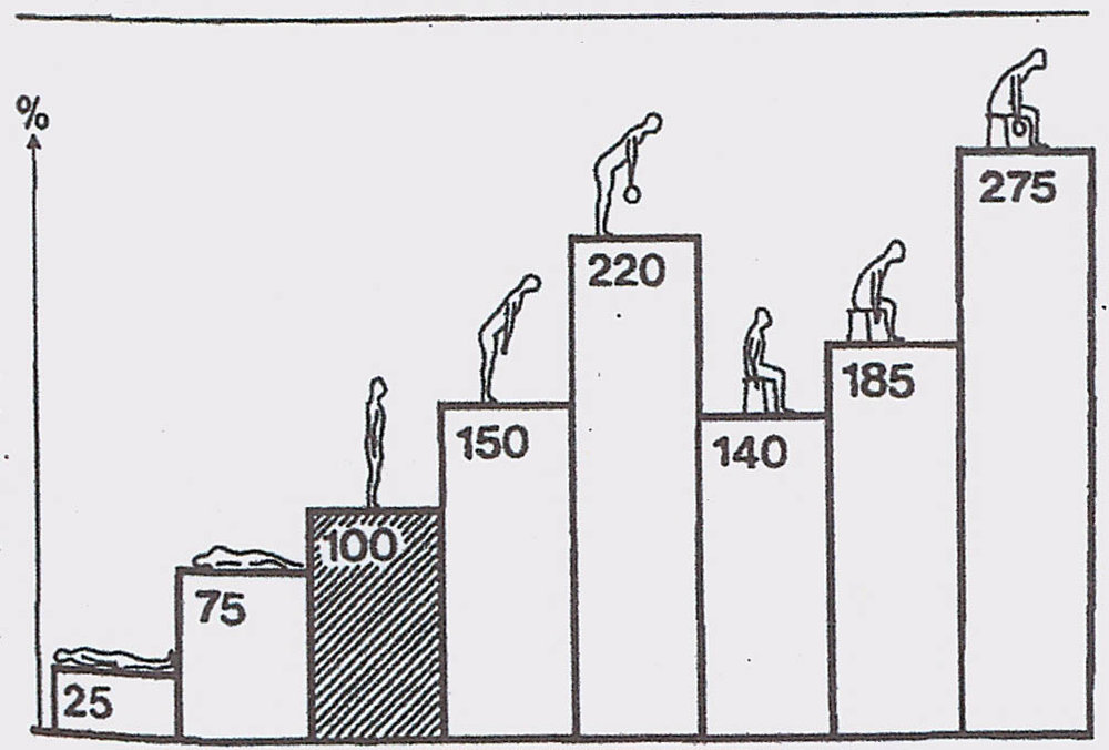Spinal forces