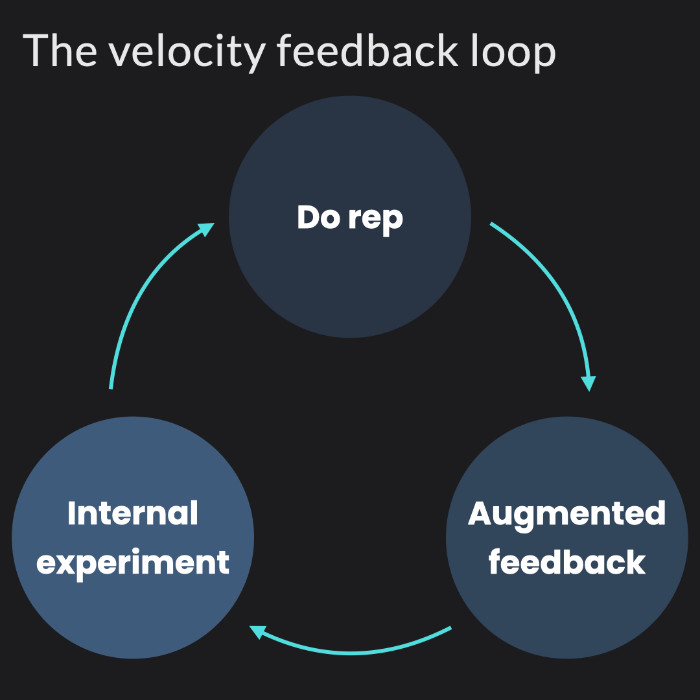 The velocity based training feedback loop
