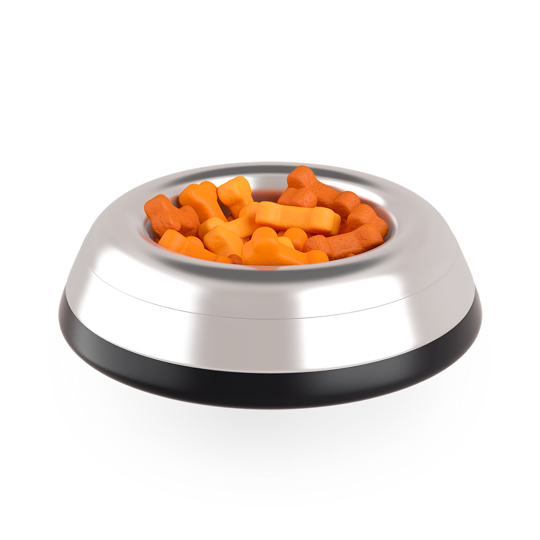 The Confident Canine Dog Training & Boarding West Palm Beach