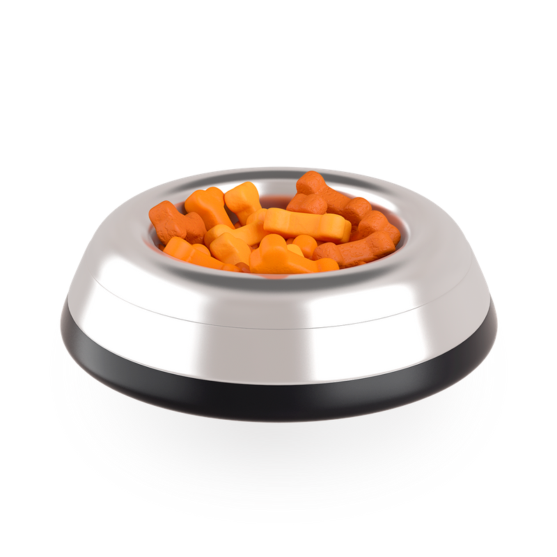 The Confident Canine Dog Training & Boarding West Palm Beach