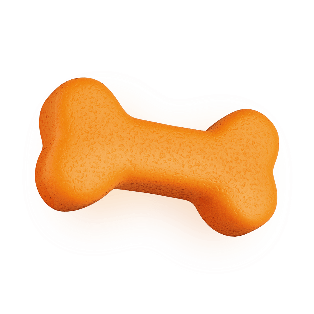 The Confident Canine Dog Training & Boarding West Palm Beach