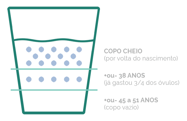 Infográfico em forma de copo ilustra reserva ovariana ao longo do tempo. Texto na imagem: Copo cheio (por volta do nascimento); Mais ou menos 38 anos (já gastou três quartos dos óvulos); Mais ou menos 45 a 51 anos (copo vazio)