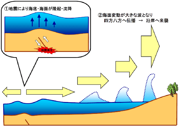 津波の発生