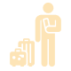 案内