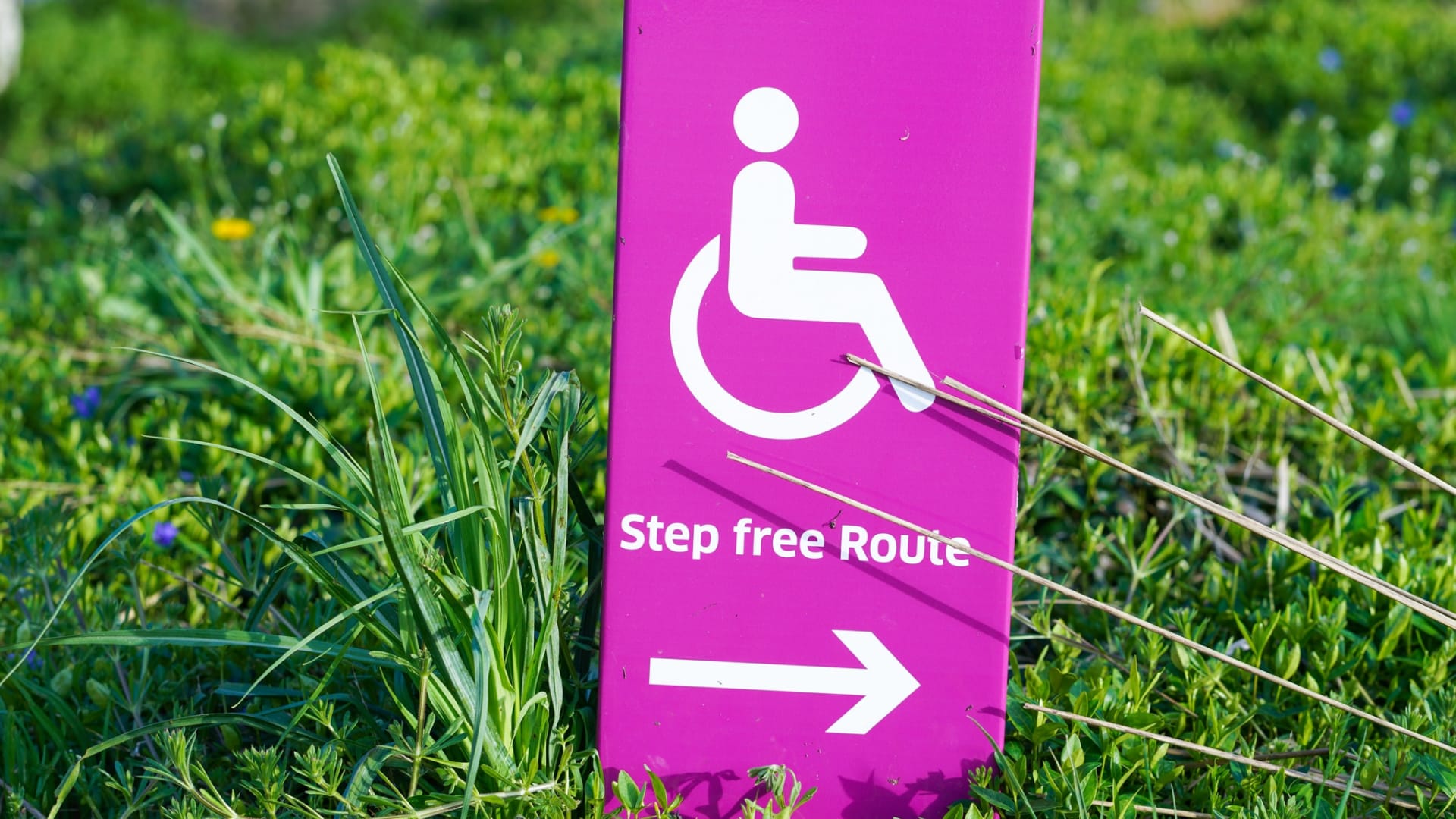 How to Make Your Website Accessible